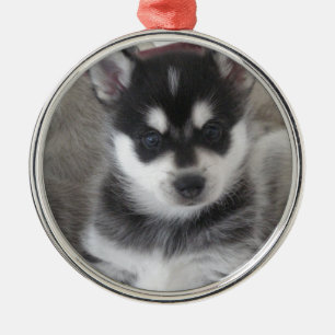Alaskan Klee Kai Puppy Dog Metal Ornament