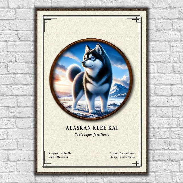 Alaskan Klee Kai Zoology Series Poster (Creator Uploaded)