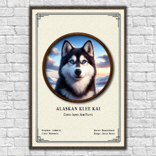 Alaskan Klee Kai Zoology Series Poster
