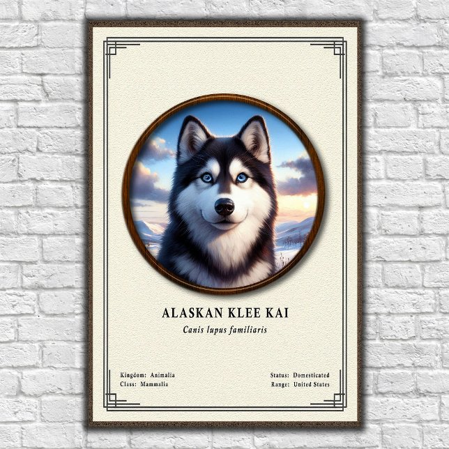 Alaskan Klee Kai Zoology Series Poster (Creator Uploaded)