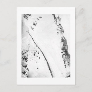 Alaskan Klondikers Postcard