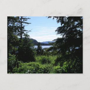 Alaskan Landscape Beautiful Alaska Photography Postcard