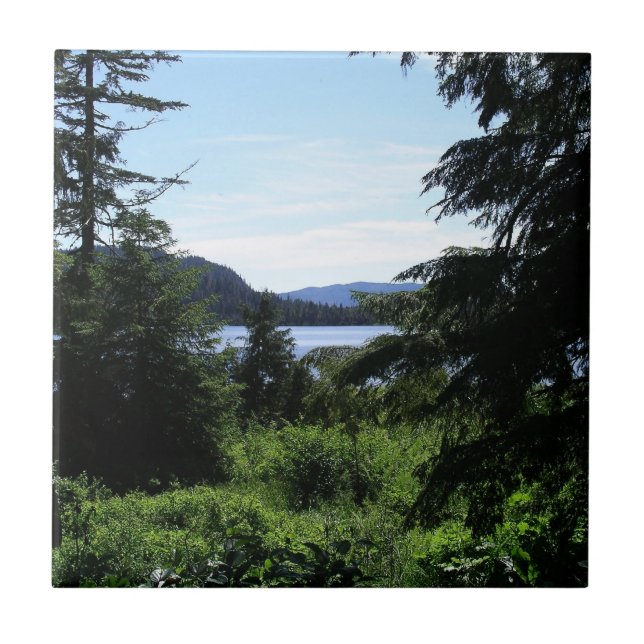 Alaskan Landscape Beautiful Alaska Photography Tile (Front)