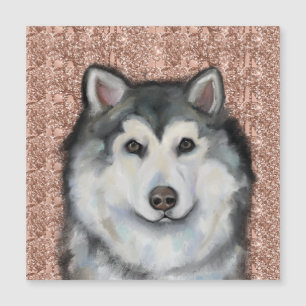 Alaskan Malamute 