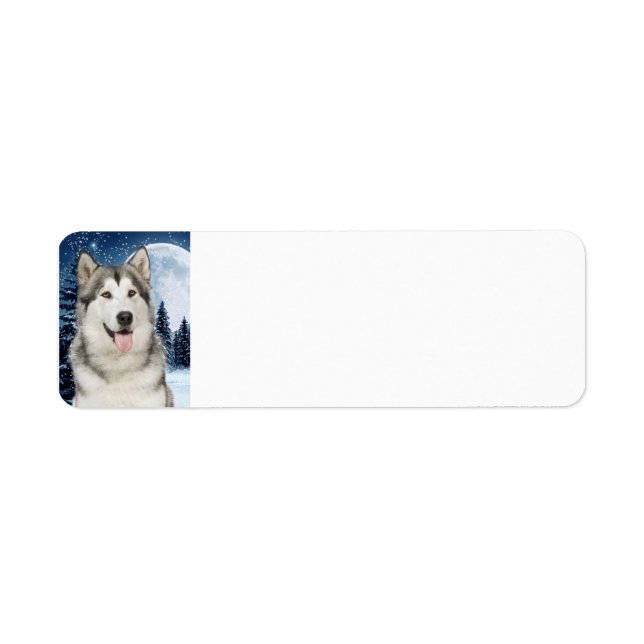 Alaskan Malamute Adresse de retour Label (Devant)