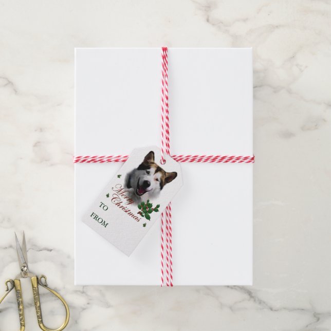 Alaskan Malamute Christmas Gift Tags (With Twine)
