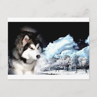 Alaskan Malamute Christmas greeting Holiday Postcard