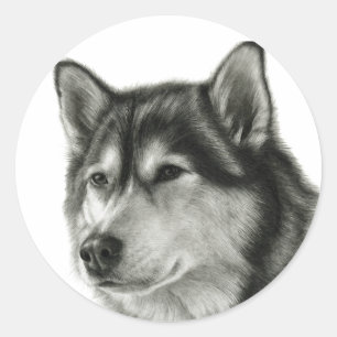 Alaskan Malamute Classic Round Sticker