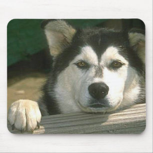 Alaskan Malamute - Customized Mouse Pad