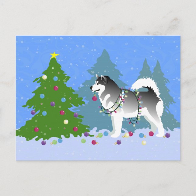 Alaskan Malamute Decorating Christmas Tree Holiday Postcard (Front)