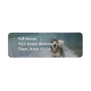 Alaskan Malamute Dog Adresse de retour Label