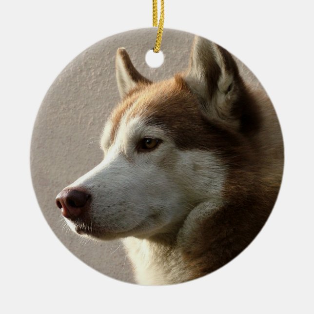 Alaskan Malamute Dog Ceramic Ornament (Front)