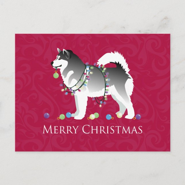 Alaskan Malamute Dog Merry Christmas Design Holiday Postcard (Front)