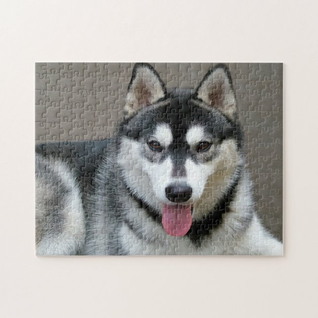 Alaskan Malamute Dog Photo Image Jigsaw Puzzle (Horizontal)