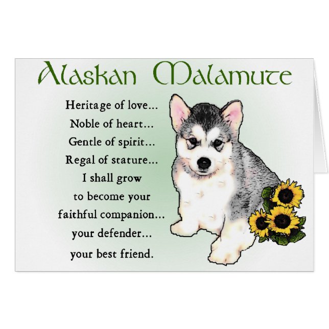 Alaskan Malamute Gifts (Front Horizontal)