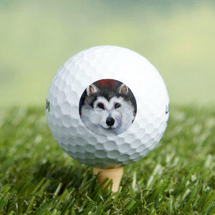 ALASKAN MALAMUTE     GOLF BALLS