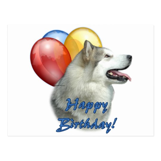 Alaskan Malamute Happy Birthday Balloons Postcard