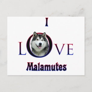 Alaskan Malamute I Love Postcard
