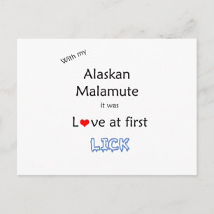 Alaskan Malamute Lick Design Postcard