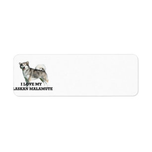 alaskan malamute love w pic
