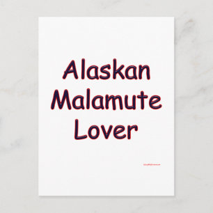 Alaskan Malamute Lover Postcard