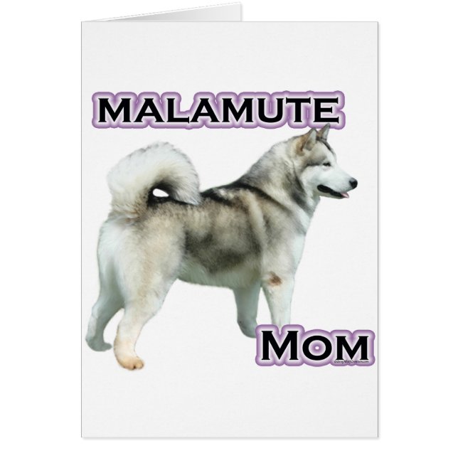 Alaskan Malamute Maman 4 (Devant)