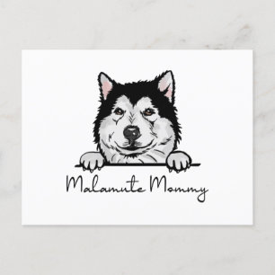 Alaskan Malamute Mommy Postcard