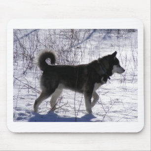 Alaskan Malamute Mouse Pad