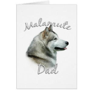Alaskan Malamute papa 2