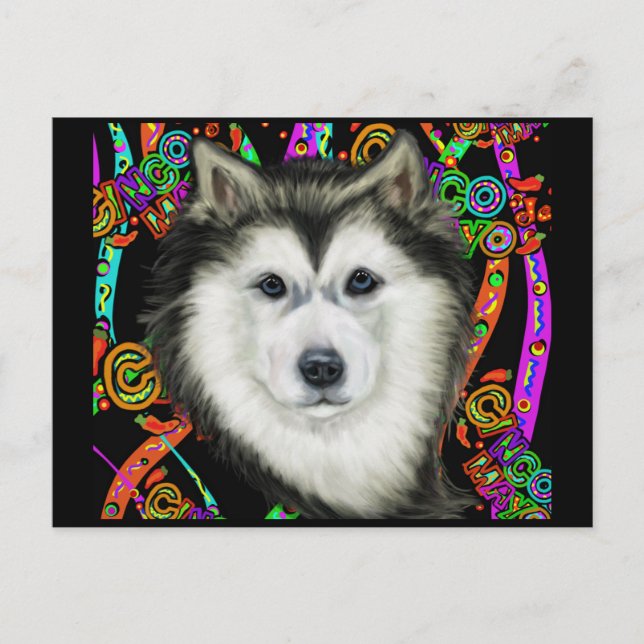 Alaskan Malamute   Postcard (Front)