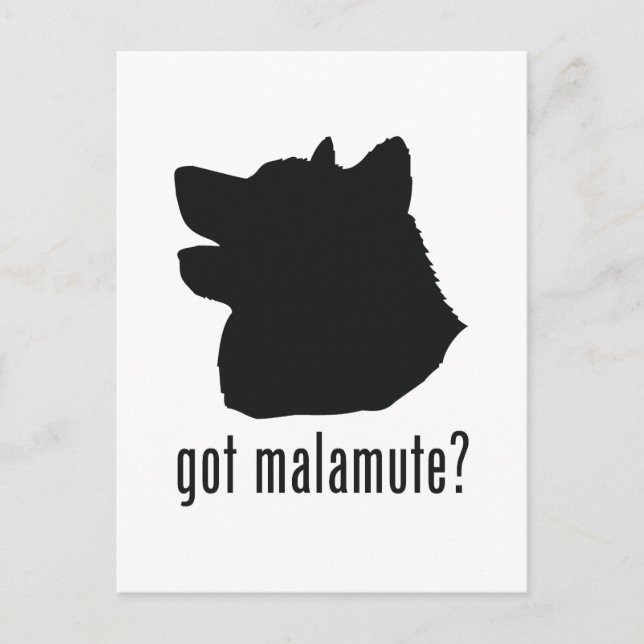 Alaskan Malamute Postcard (Front)