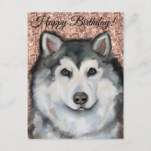 Alaskan Malamute  Postcard