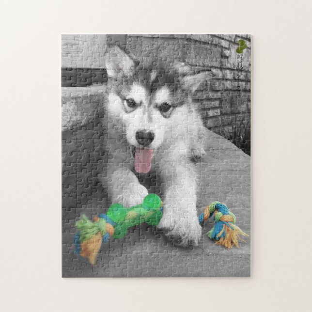 Alaskan Malamute Puppy Colour Splash Photograph Jigsaw Puzzle (Vertical)