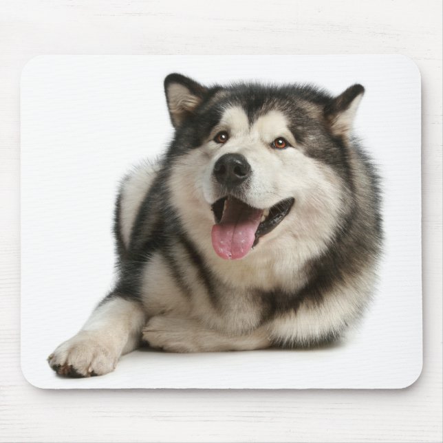 Alaskan Malamute Puppy Dog Mousepad (Front)