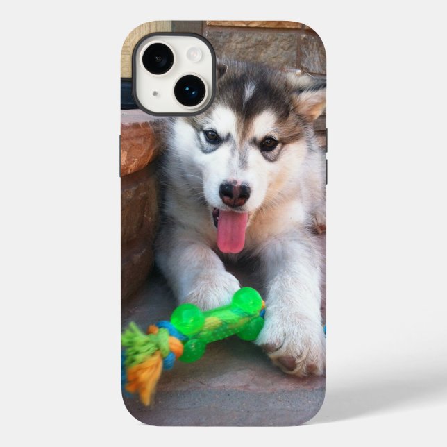 Alaskan Malamute Puppy With Rope Toy Photograph Case-Mate iPhone Case (Back)