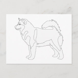 Alaskan Malamute Ready to Colour and Customize Postcard