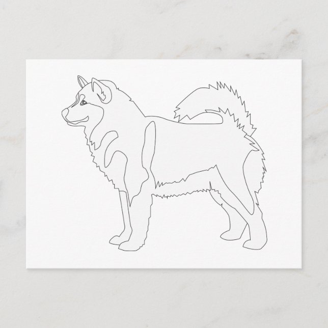Alaskan Malamute Ready to Colour and Customize Postcard (Front)