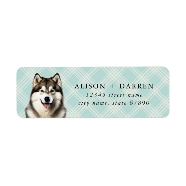 Alaskan Malamute Return Address Labels (Front)
