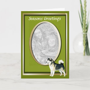 Alaskan Malamute Seasons Greeting Card