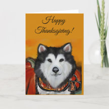 Alaskan Malamute