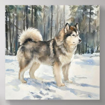Alaskan Malamute Trinket Box