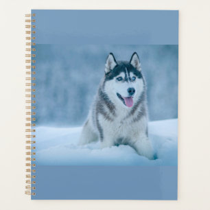 Alaskan Malamute walking on snow field Planner