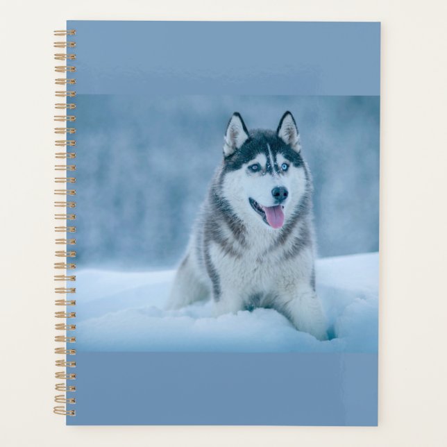 Alaskan Malamute walking on snow field Planner (Front)