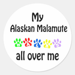 Alaskan Malamute Walks Design Classic Round Sticker