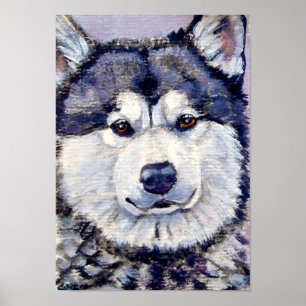 Alaskan Malamute Wall Print