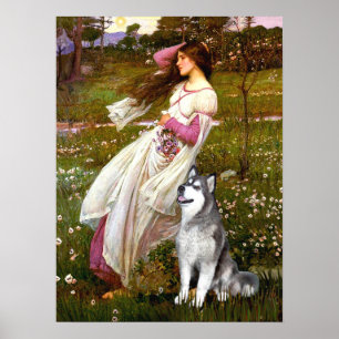 Alaskan Malamute - Windflowers Poster