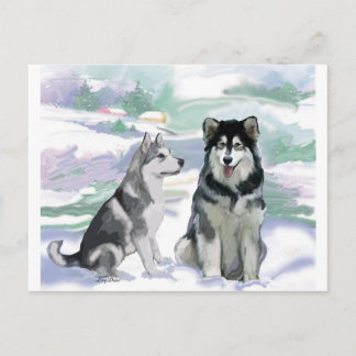 Alaskan Malamute Winter Scene Postcard