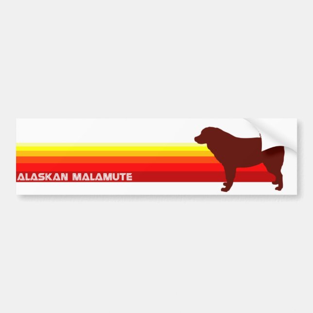 Alaskan Malamute With Stripes Bumper Sticker (Front)