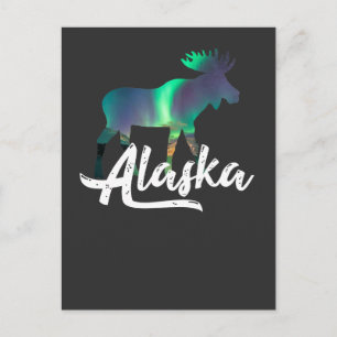 Alaskan Moose with Aurora Borealis Gift Postcard