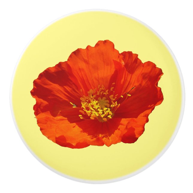 Alaskan Red Poppy Colourful Flower Ceramic Knob (Front)